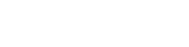 logo icon